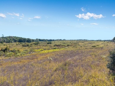Back on market at no fault to the seller. Explore the potential - photo 8