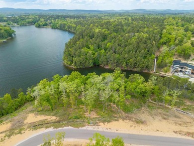 Premier main-channel lakefront estate homesite offering - photo 16