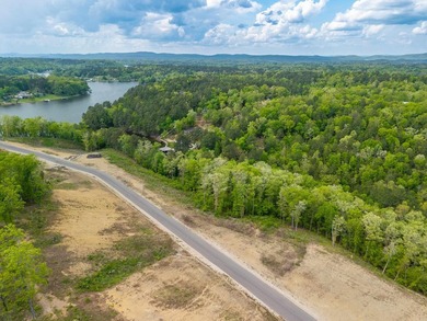 Premier main-channel lakefront estate homesite offering - photo 17