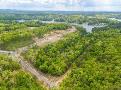 Premier main-channel lakefront estate homesite offering - photo 20