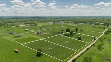 Stockton Lake Acreage Sale Pending in Stockton Missouri