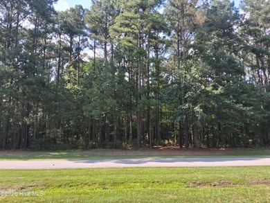 Escape to your own private oasis on this heavily wooded half - photo 2