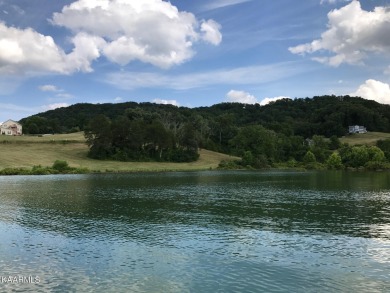 Have the Vision: Norris Lake views thru the trees! You don't - Lake Lot For Sale in Sharps Chapel, Tennessee