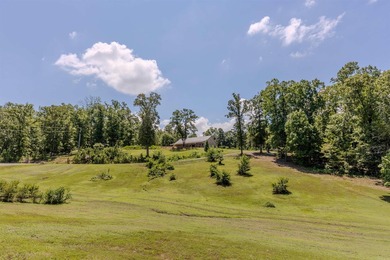 Custom-built home on 3.07 acres in Perry County with - photo 48