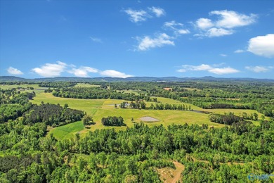 (private lake, pond, coastal) Acreage For Sale in Blountsville AL