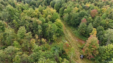 Lake Acreage For Sale in Ontonagon, Michigan
