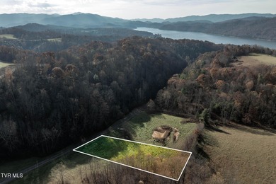 Watauga Lake Lot For Sale in Butler Tennessee