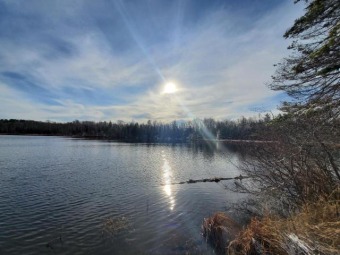 Scenic Northwoods Wooded Lakefront Escape - Lake Acreage For Sale in Eisenstein, Wisconsin