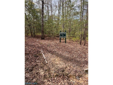 Acreage has beautiful setting on Creek/Stream and on a cul-de - photo 4