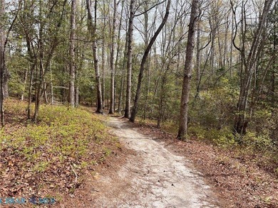Acreage has beautiful setting on Creek/Stream and on a cul-de - photo 5