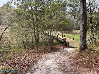 Acreage has beautiful setting on Creek/Stream and on a cul-de - photo 6