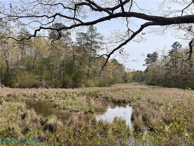 Acreage has beautiful setting on Creek/Stream and on a cul-de - photo 8