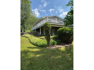 Lake Home For Sale in Beaverton, Michigan