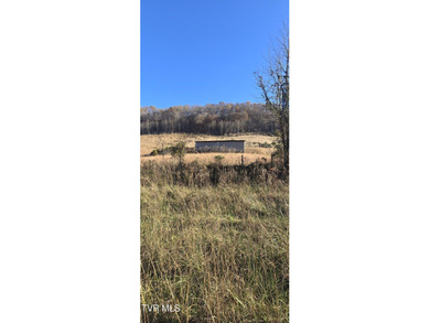 Check out this beautiful tract of land in rural Hancock County - photo 2