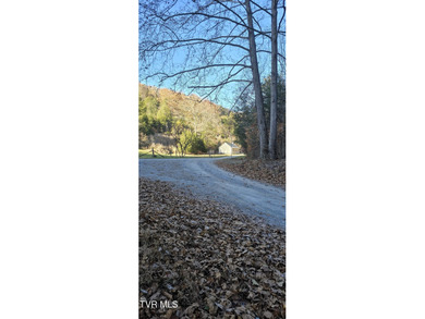 Check out this beautiful tract of land in rural Hancock County - photo 3