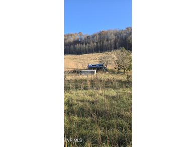 Check out this beautiful tract of land in rural Hancock County - photo 4