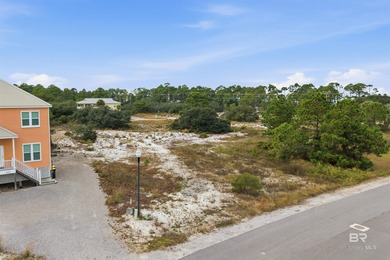 Build your dream coastal retreat in beautiful Fort Morgan - photo 5