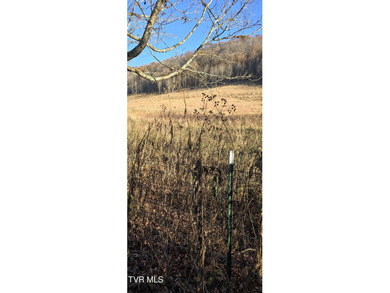 Check out this beautiful tract of land in rural Hancock County - photo 5