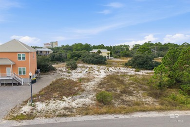Build your dream coastal retreat in beautiful Fort Morgan - photo 6