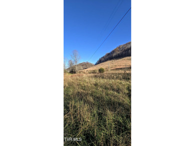 Check out this beautiful tract of land in rural Hancock County - photo 6