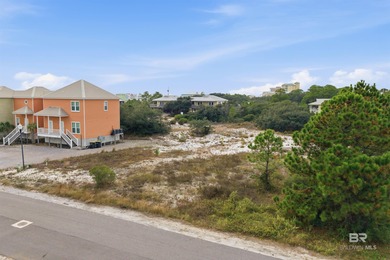 Build your dream coastal retreat in beautiful Fort Morgan - photo 7