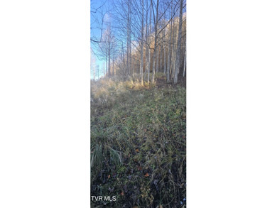 Check out this beautiful tract of land in rural Hancock County - photo 7