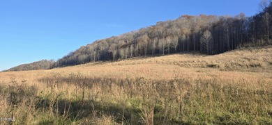 Check out this beautiful tract of land in rural Hancock County - photo 8