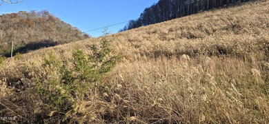 Check out this beautiful tract of land in rural Hancock County - photo 9