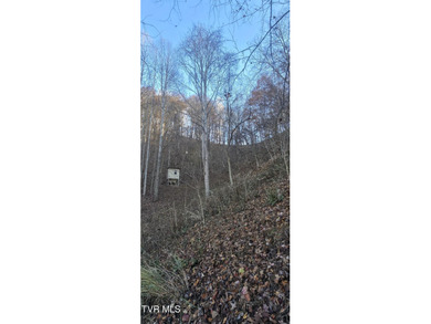 Check out this beautiful tract of land in rural Hancock County - photo 10