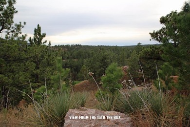 Listed by Holly Hultgren, KWBH, 605-55-1943. Experience golf - photo 10
