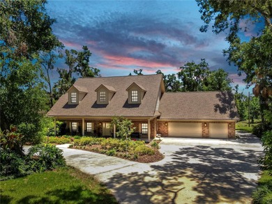 (private lake, pond, creek) Home For Sale in Valrico Florida