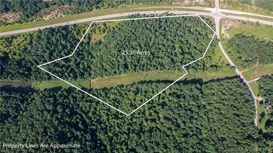 Opportunities like this don't come around often. This 25-acre - photo 2