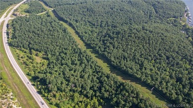 Opportunities like this don't come around often. This 25-acre - photo 4