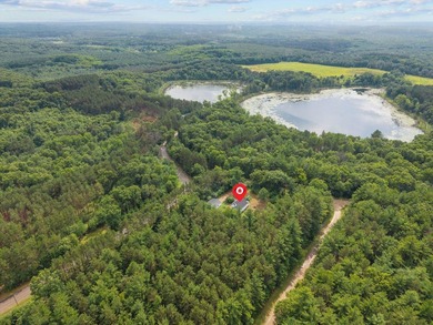 Completely updated 4-bedroom home situated on 2.9 private acres - photo 42