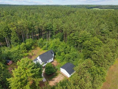 Completely updated 4-bedroom home situated on 2.9 private acres - photo 46