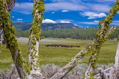 Aspen Ridge Ranch, in South-Central Oregon, between Klamath - photo 21