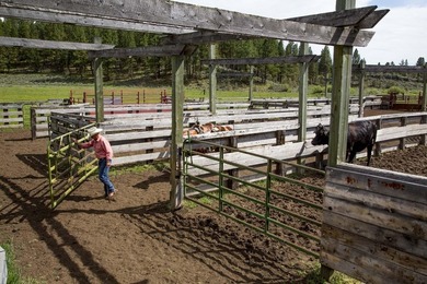 Aspen Ridge Ranch, in South-Central Oregon, between Klamath - photo 22