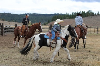 Aspen Ridge Ranch, in South-Central Oregon, between Klamath - photo 23