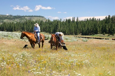 Aspen Ridge Ranch, in South-Central Oregon, between Klamath - photo 24
