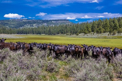 Aspen Ridge Ranch, in South-Central Oregon, between Klamath - photo 25
