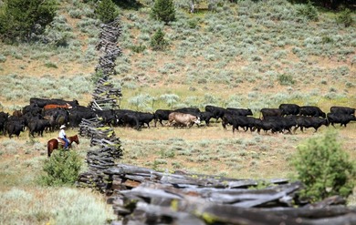 Aspen Ridge Ranch, in South-Central Oregon, between Klamath - photo 26