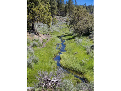 Aspen Ridge Ranch, in South-Central Oregon, between Klamath - photo 27