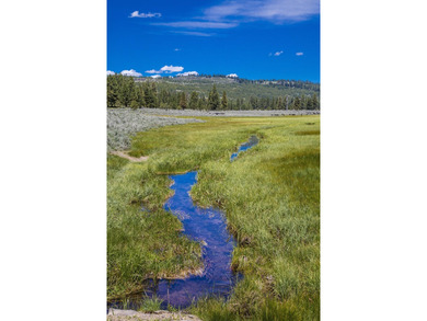 Aspen Ridge Ranch, in South-Central Oregon, between Klamath - photo 28