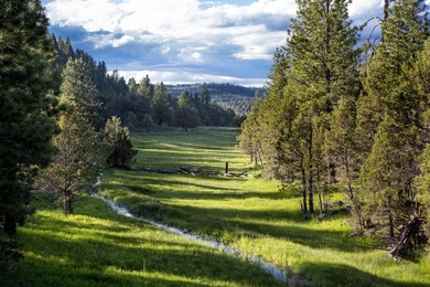 Aspen Ridge Ranch, in South-Central Oregon, between Klamath - photo 29