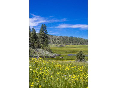 Aspen Ridge Ranch, in South-Central Oregon, between Klamath - photo 30