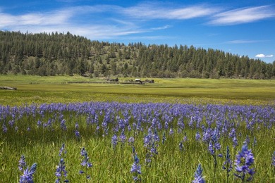 Aspen Ridge Ranch, in South-Central Oregon, between Klamath - photo 31