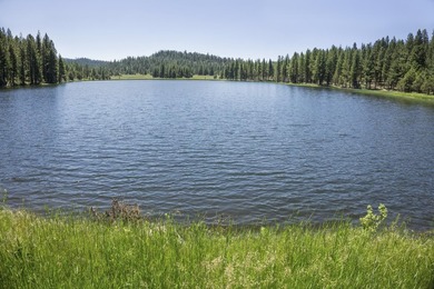 Aspen Ridge Ranch, in South-Central Oregon, between Klamath - photo 32