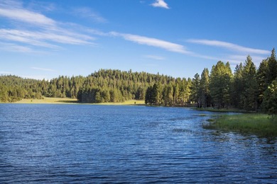 Aspen Ridge Ranch, in South-Central Oregon, between Klamath - photo 36