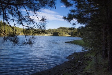 Aspen Ridge Ranch, in South-Central Oregon, between Klamath - photo 37