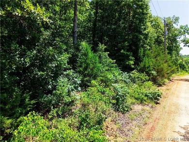 Enjoy the best of both worlds with this 0.21-acre second-tier - photo 1